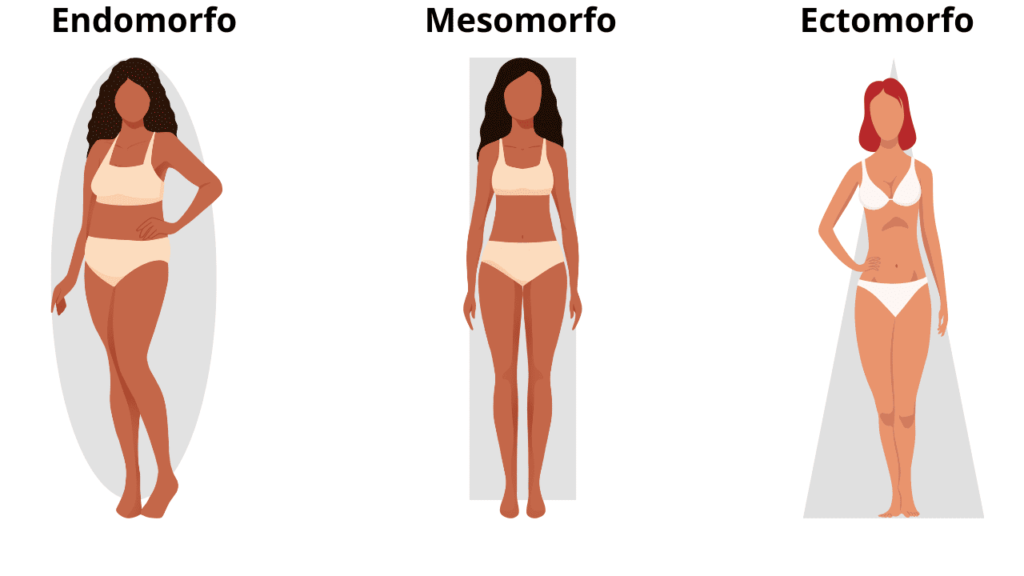 Boa genética para musculação. Imagem ilustrativa de mulheres representando cada biotipo (ectomorfo, mesomorfo, endomorfo)