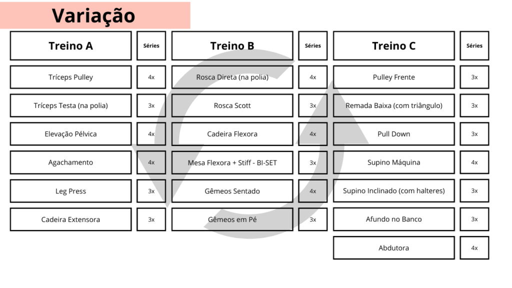 Ficha de Treino ABC Masculino e Feminino.